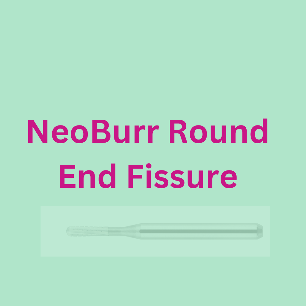 NeoBurr Round End Fissure