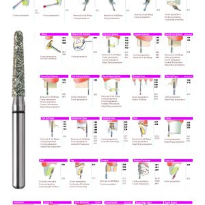 NeoDiamond Educational Chart